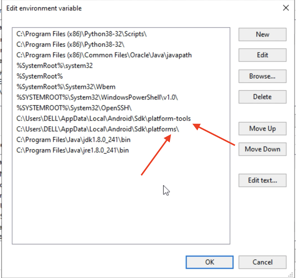 Set the environmental variables
